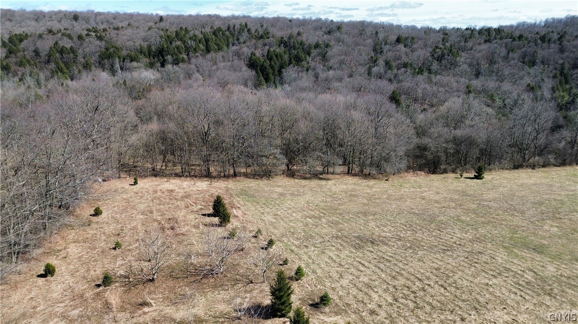 5400 Brake Hill Road Homer, NY 13077 - Photo 47 of 50