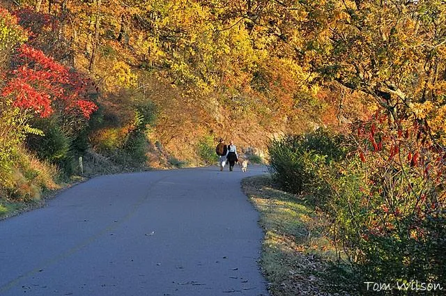 $1,675,000 | 2135 Tayside Crossing Northwest, Kennesaw, GA 30152