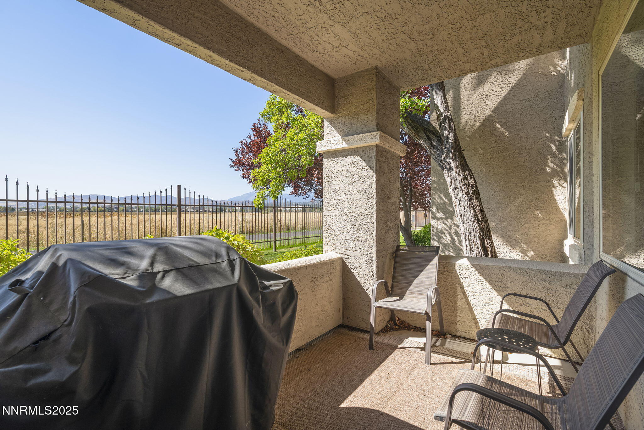 900 South Meadows Parkway, Unit 4313 Reno, NV 89521 - Photo 16 of 27 a view of balcony and patio