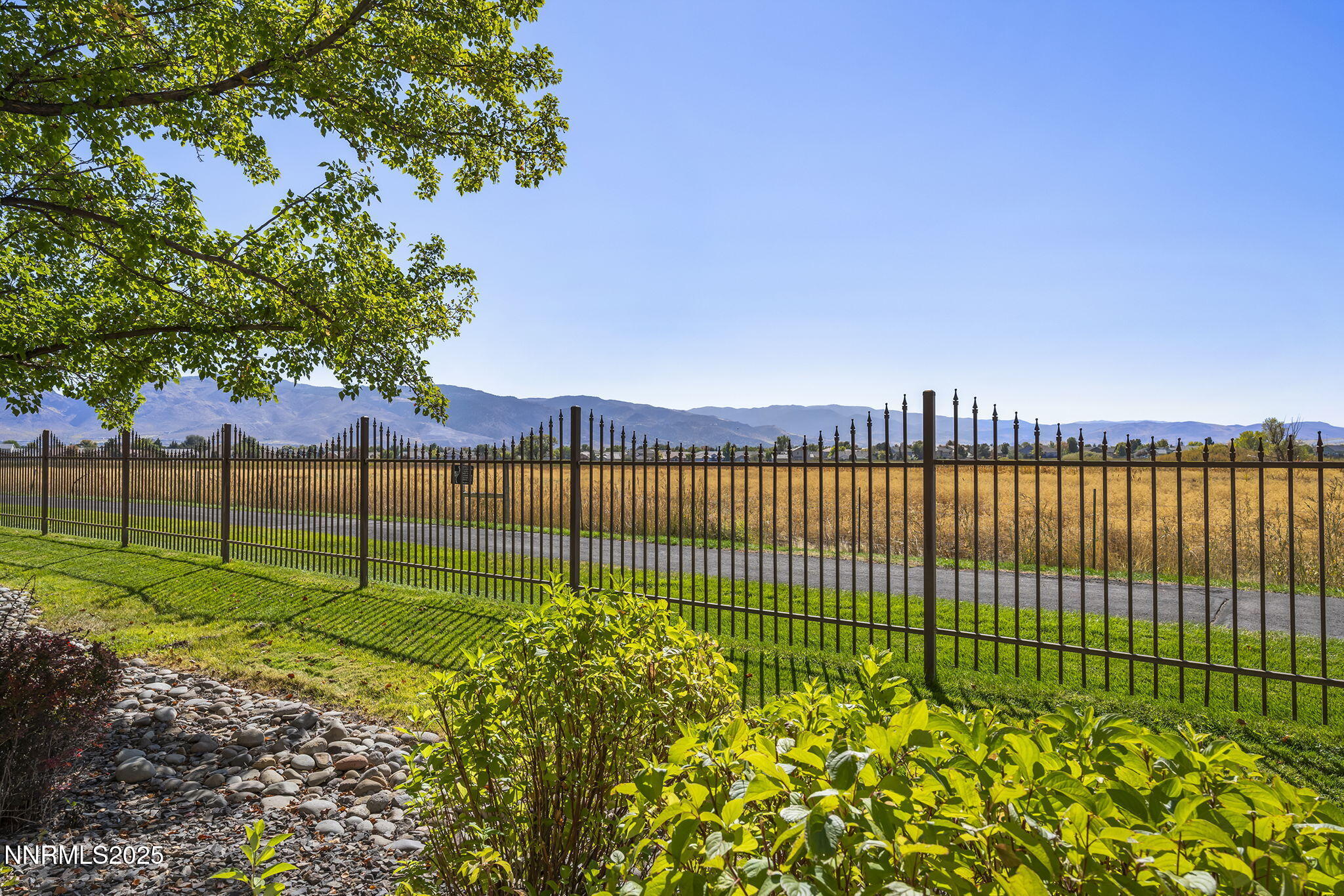 900 South Meadows Parkway, Unit 4313 Reno, NV 89521 - Photo 19 of 27 a view of a backyard