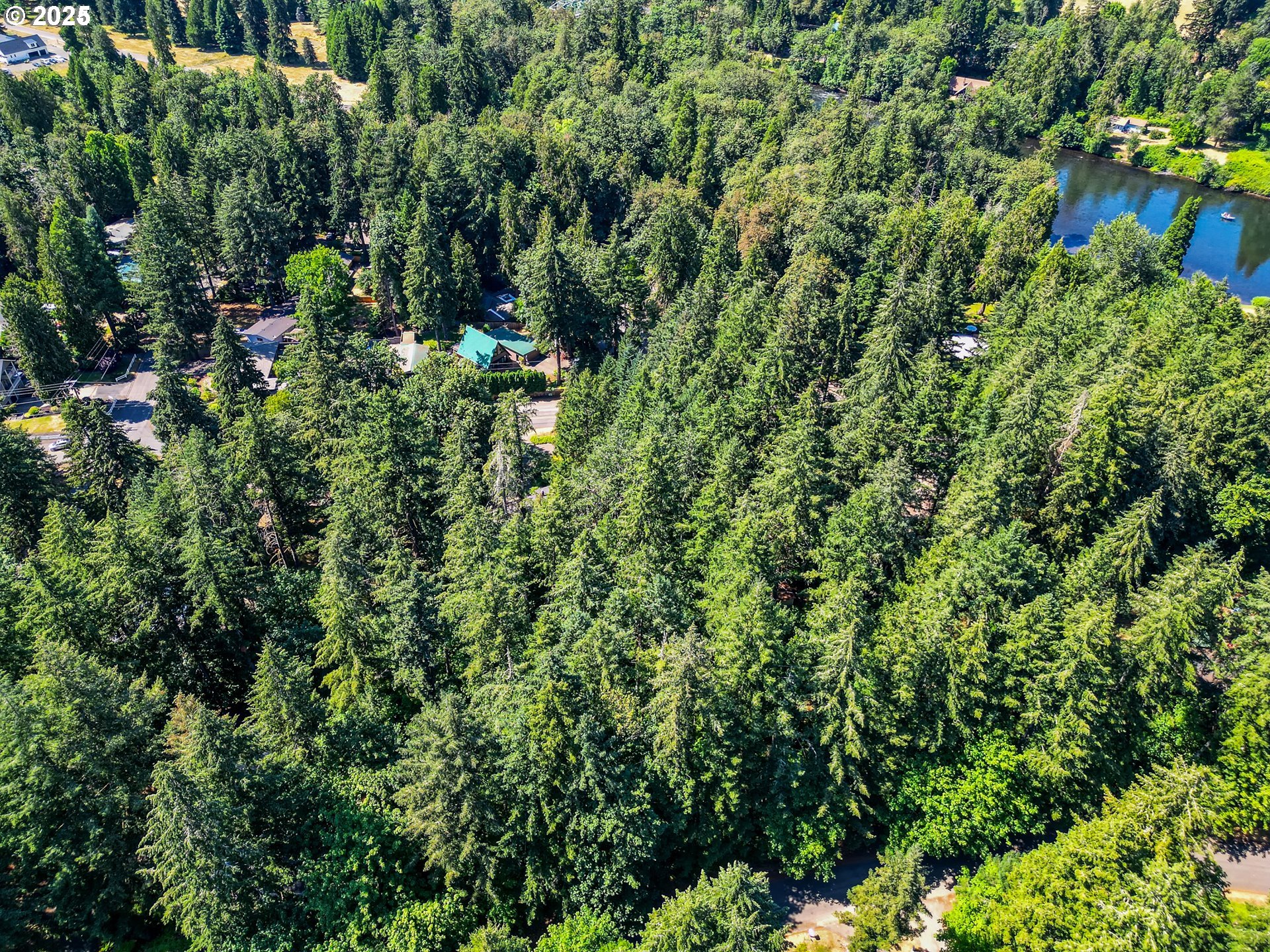 Bridge Springfield, OR 97478 - Photo 11 of 27