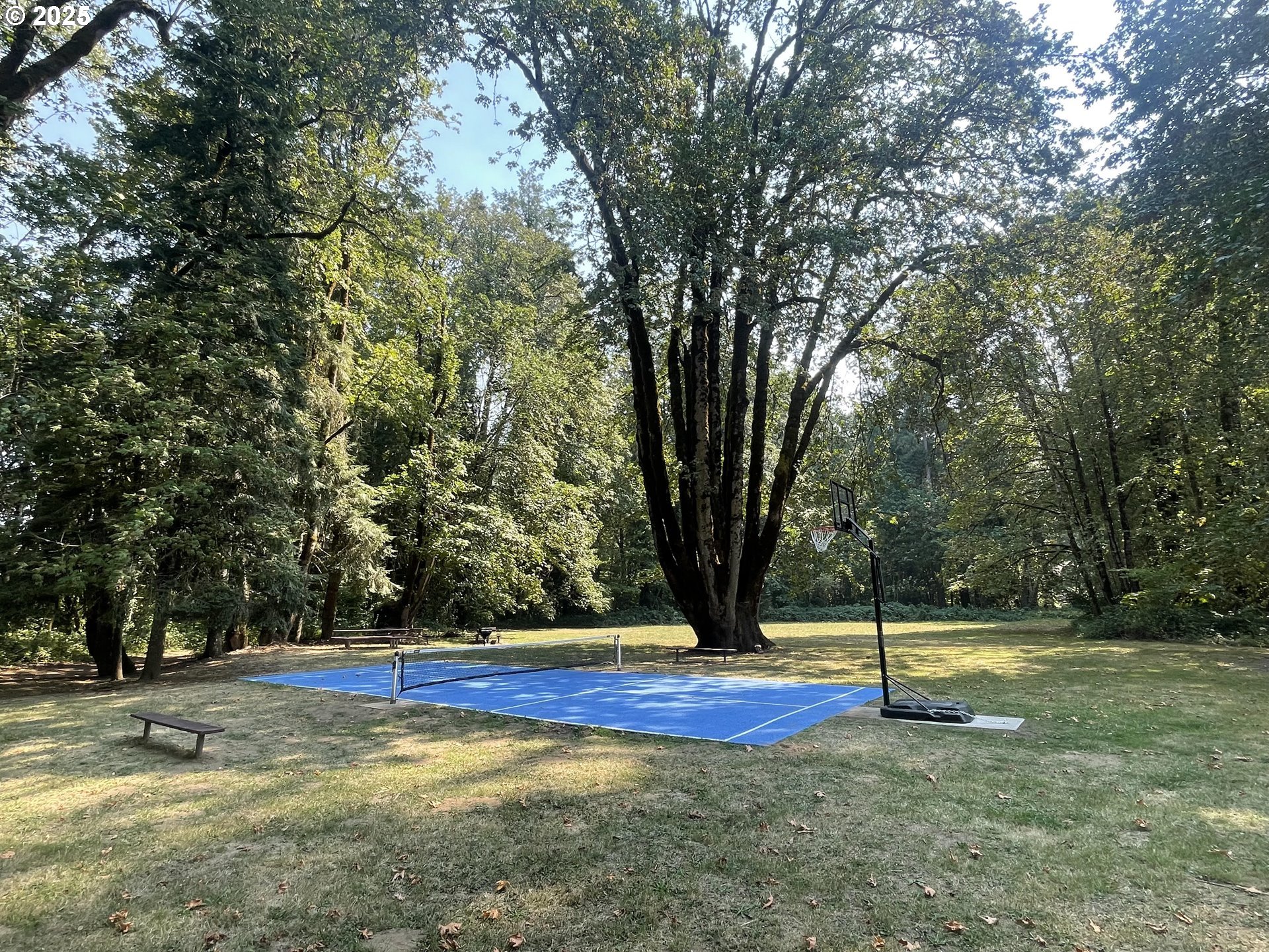 Bridge Springfield, OR 97478 - Photo 18 of 27