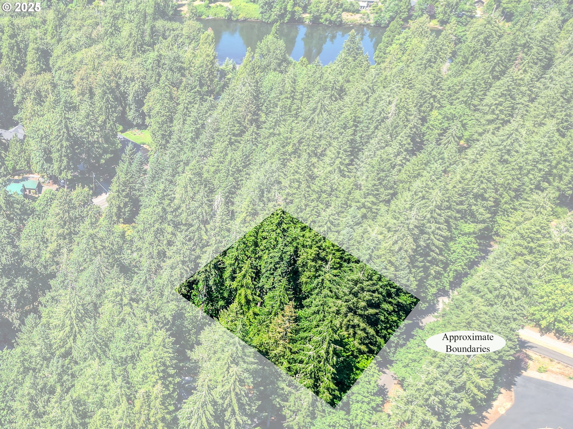 Bridge Springfield, OR 97478 - Photo 2 of 27