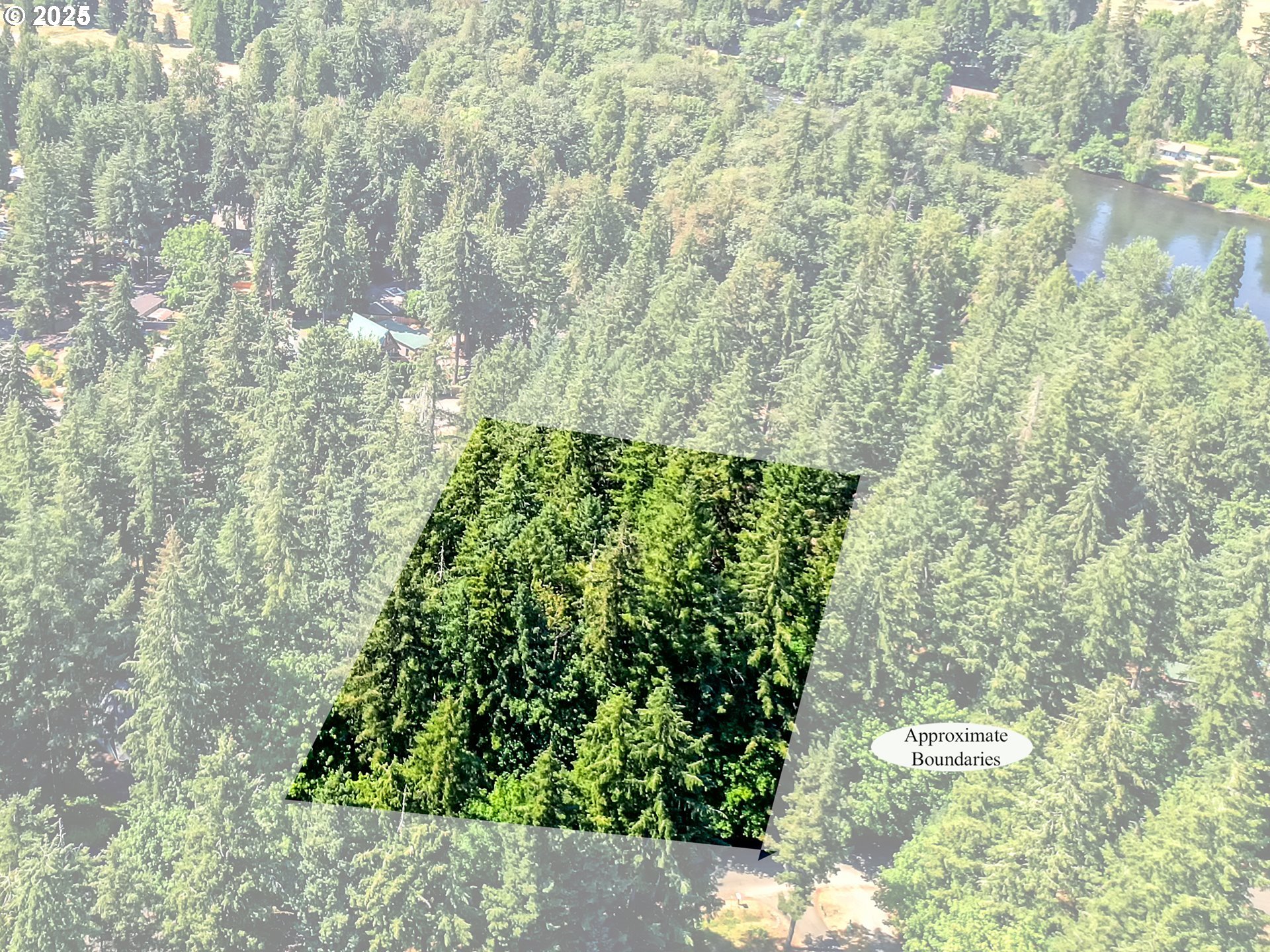 Bridge Springfield, OR 97478 - Photo 24 of 27