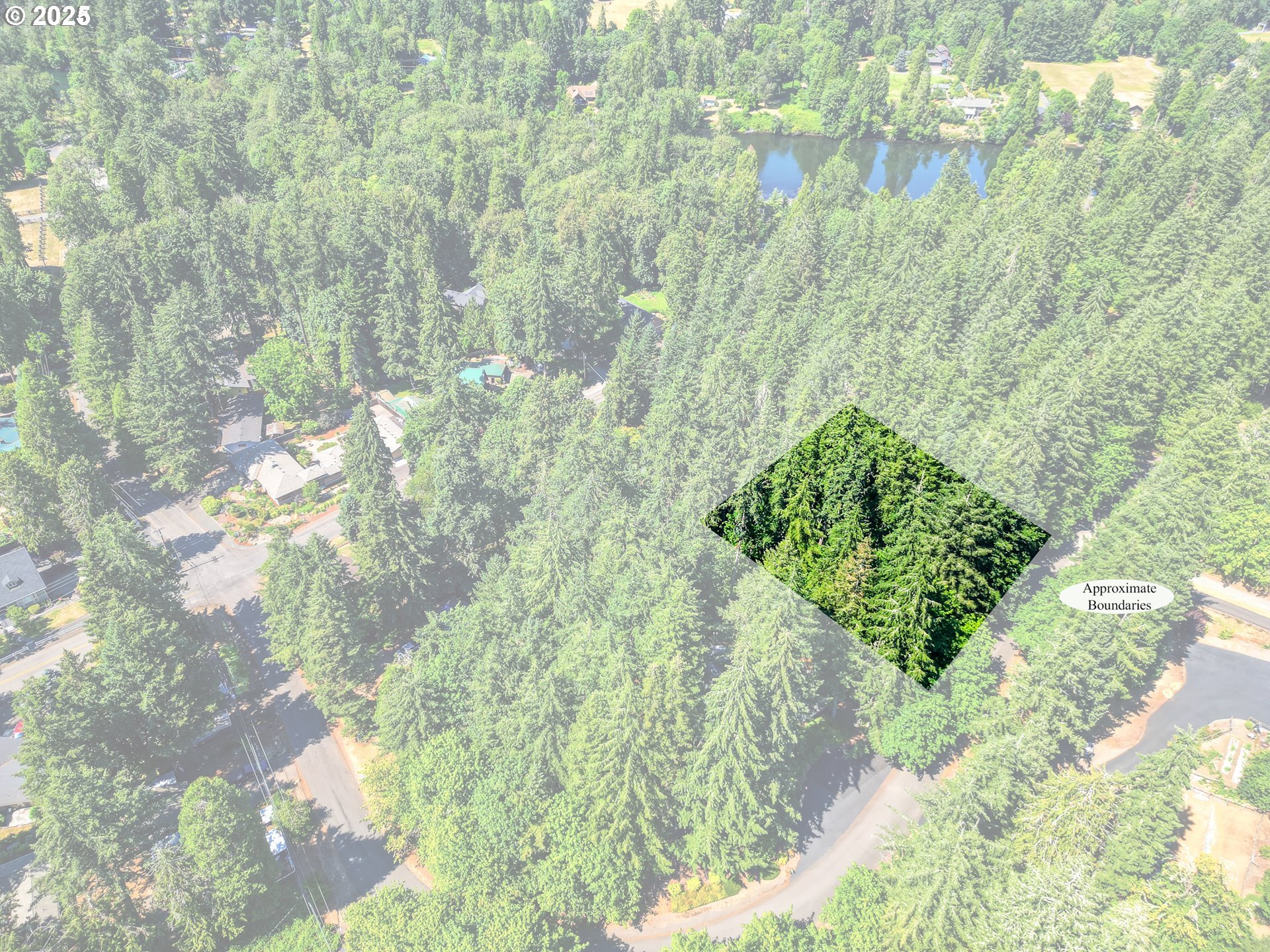 Bridge Springfield, OR 97478 - Photo 27 of 27