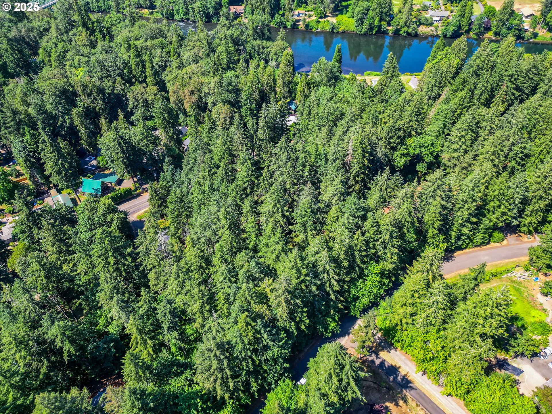 Bridge Springfield, OR 97478 - Photo 5 of 27