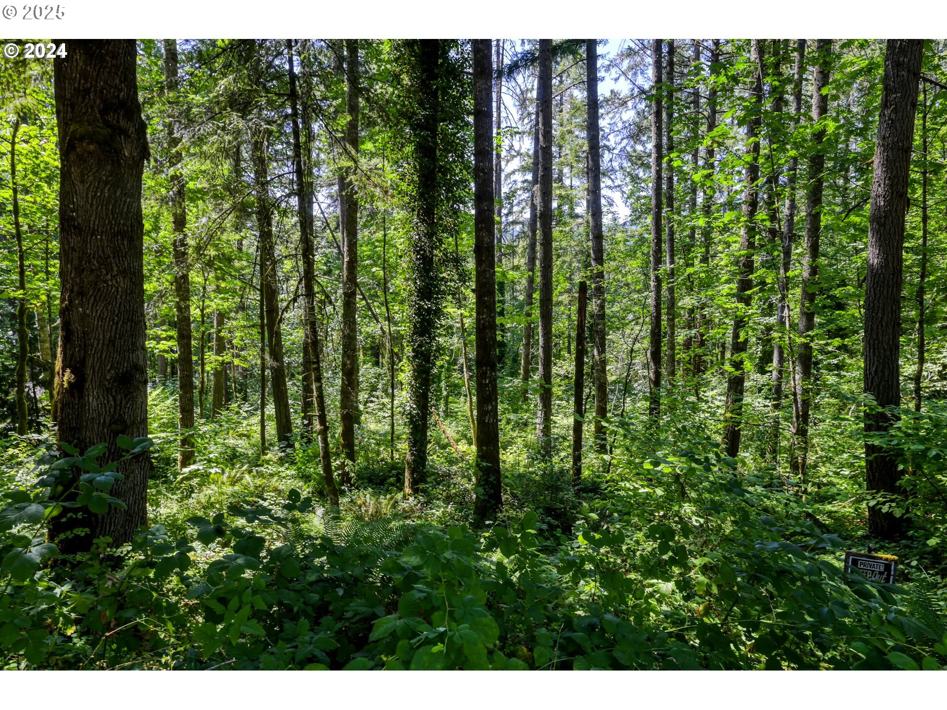 Bridge Springfield, OR 97478 - Photo 8 of 27