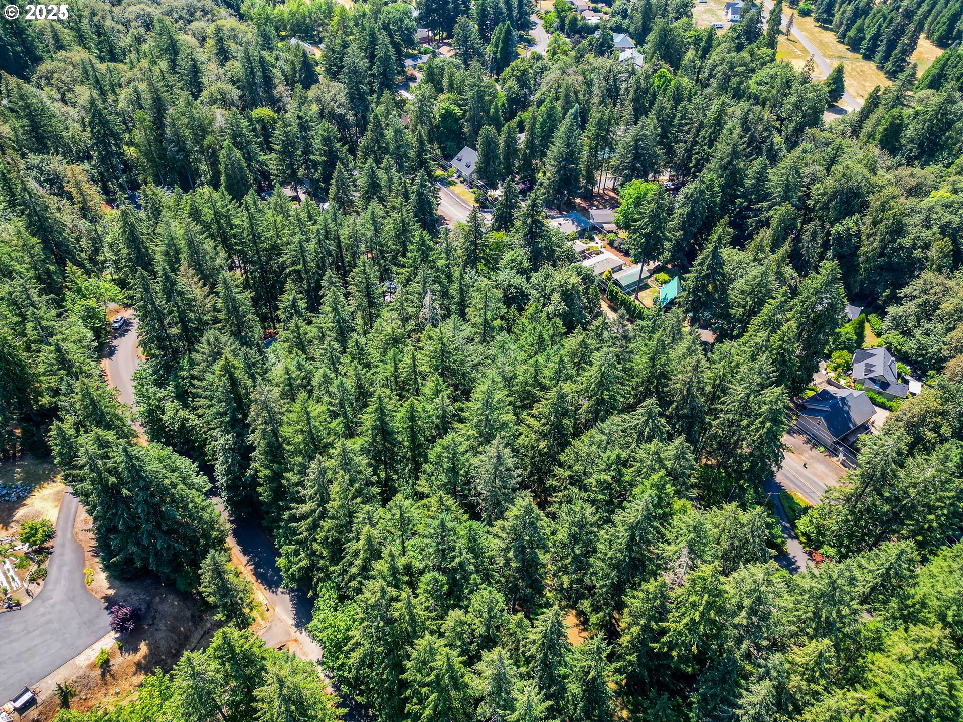 Bridge Springfield, OR 97478 - Photo 9 of 27