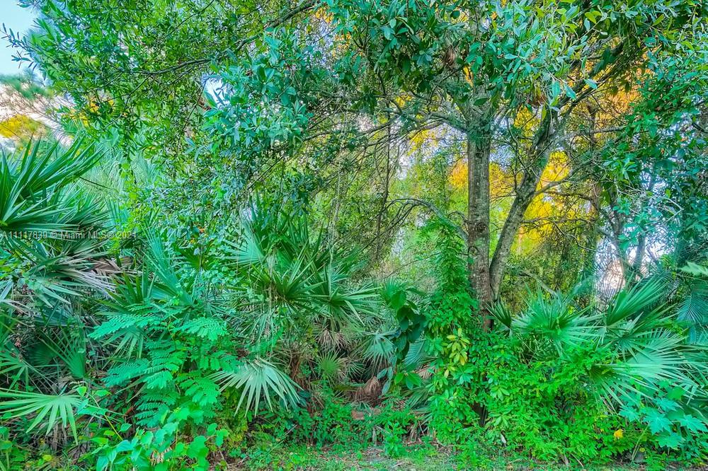 339 Timberwalk Trail Jupiter, FL 33458 - Photo 33 of 33 a view of yard