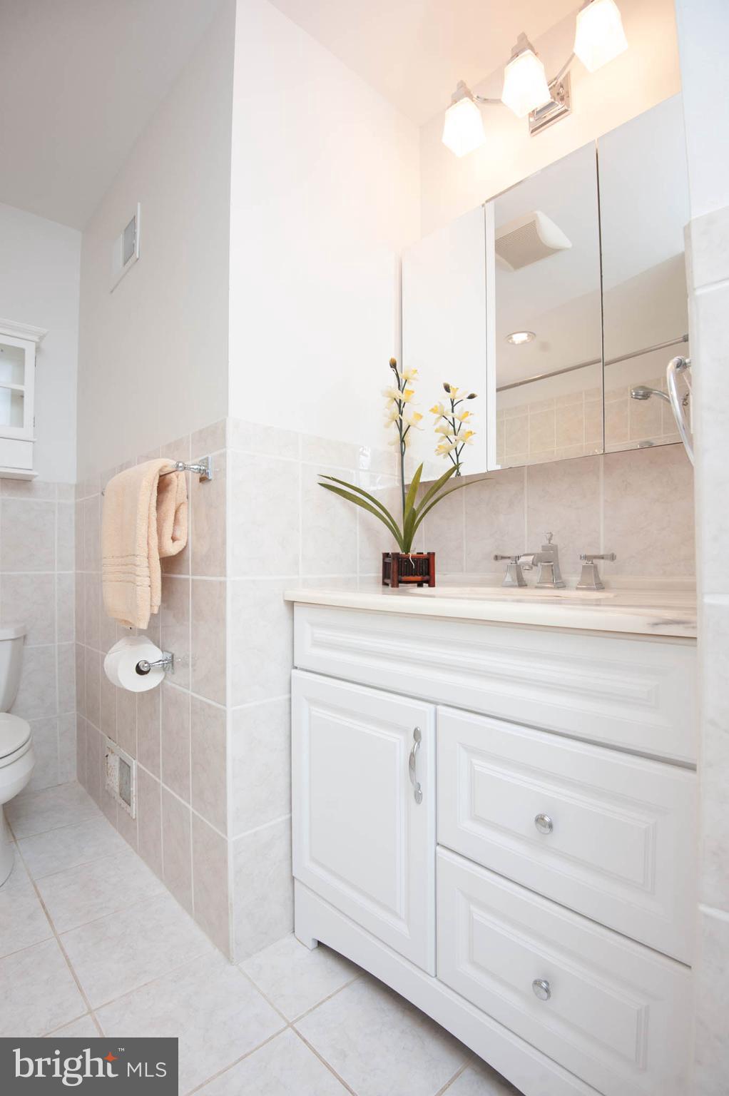 1656 Comanche Road Arnold, MD 21012 - Photo 24 of 30 Hall Bath has a tub and separate shower.