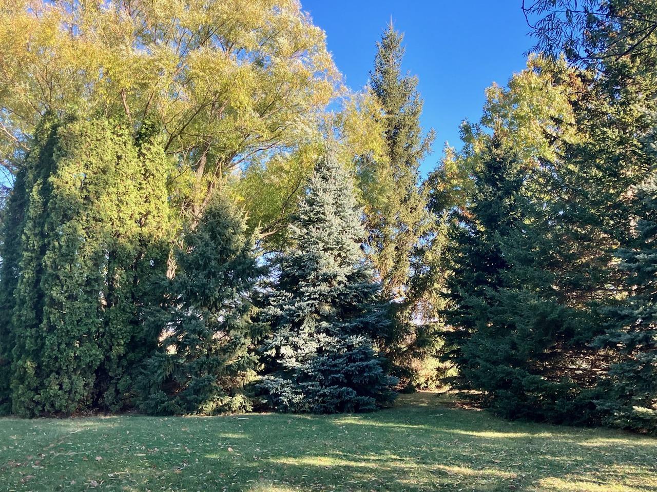 7561 West Judson Road Polo, IL 61064 - Photo 35 of 44