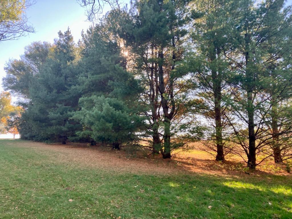 7561 West Judson Road Polo, IL 61064 - Photo 41 of 44 a view of a yard with a tree