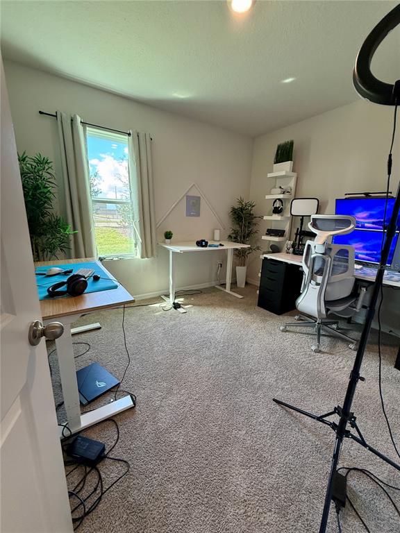 3222 Bitterroot Lane Bradenton, FL 34211 - Photo 9 of 12