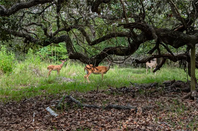 $725,000 | 164 4th Street, Rockport, TX 78382