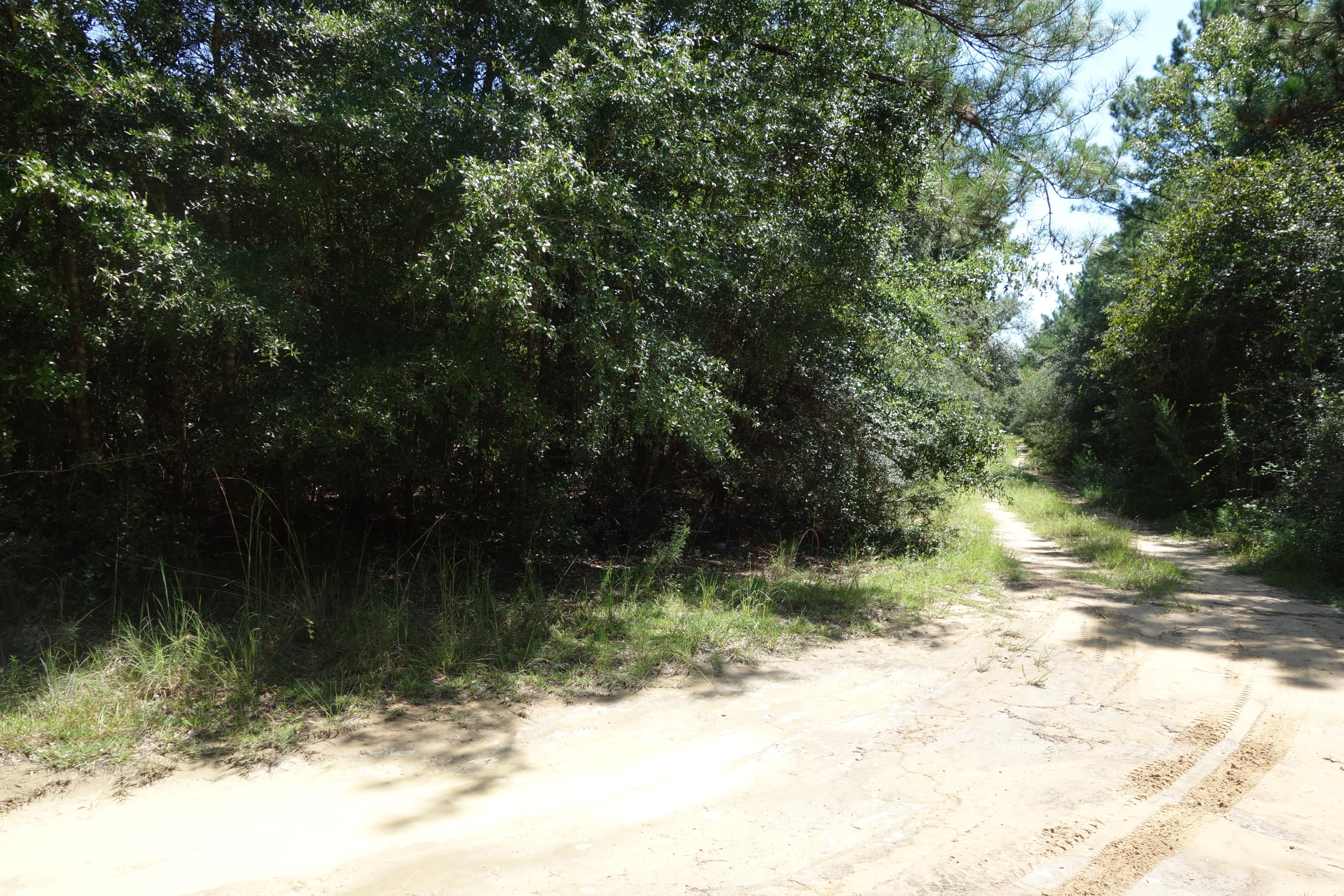 Lot 2 Rene Road DeFuniak Springs, FL 32433 - Photo 1 of 7 Gallery Image 1