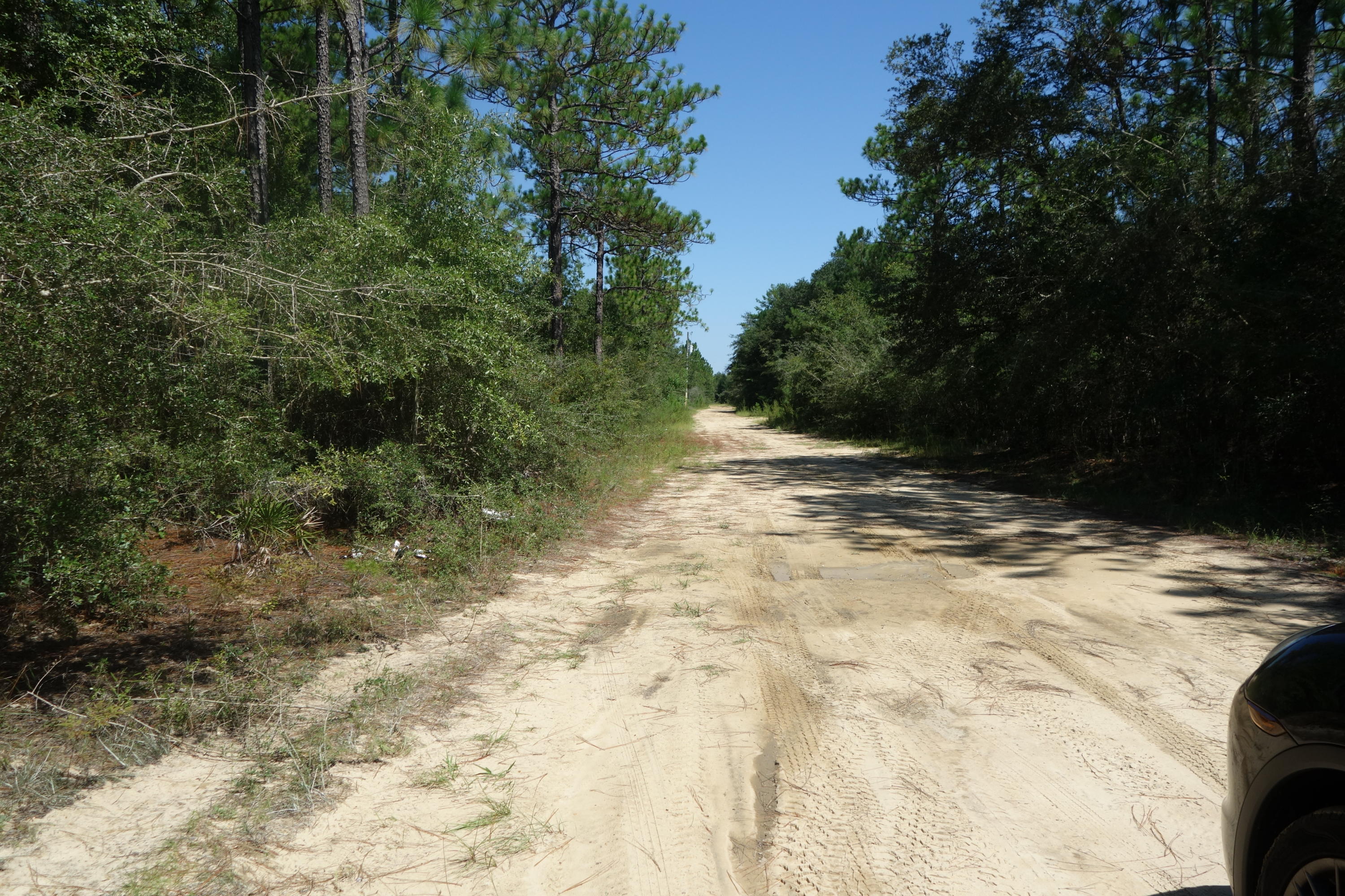 Lot 2 Rene Road DeFuniak Springs, FL 32433 - Photo 4 of 7 Gallery Image 4