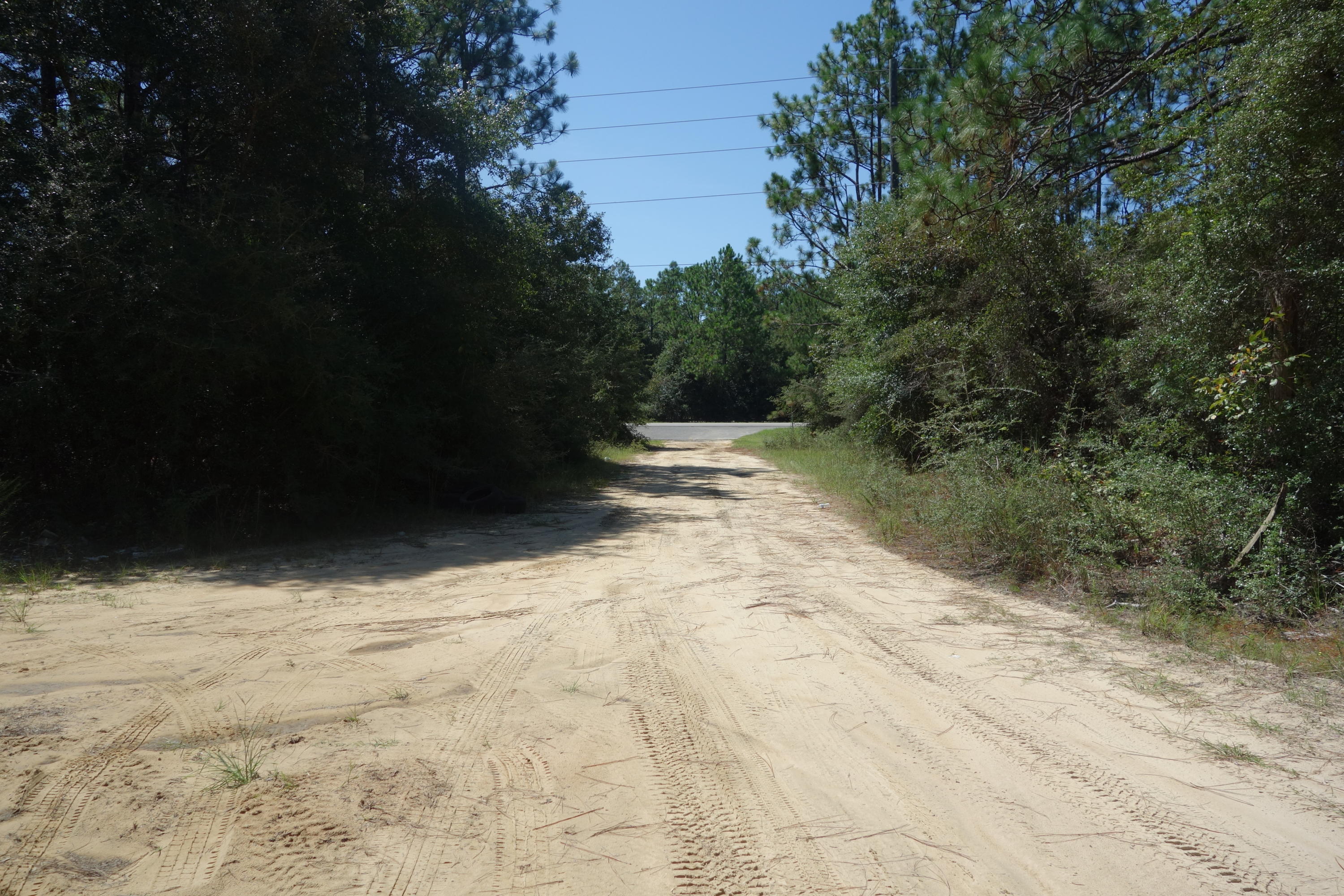Lot 2 Rene Road DeFuniak Springs, FL 32433 - Photo 5 of 7 Gallery Image 5