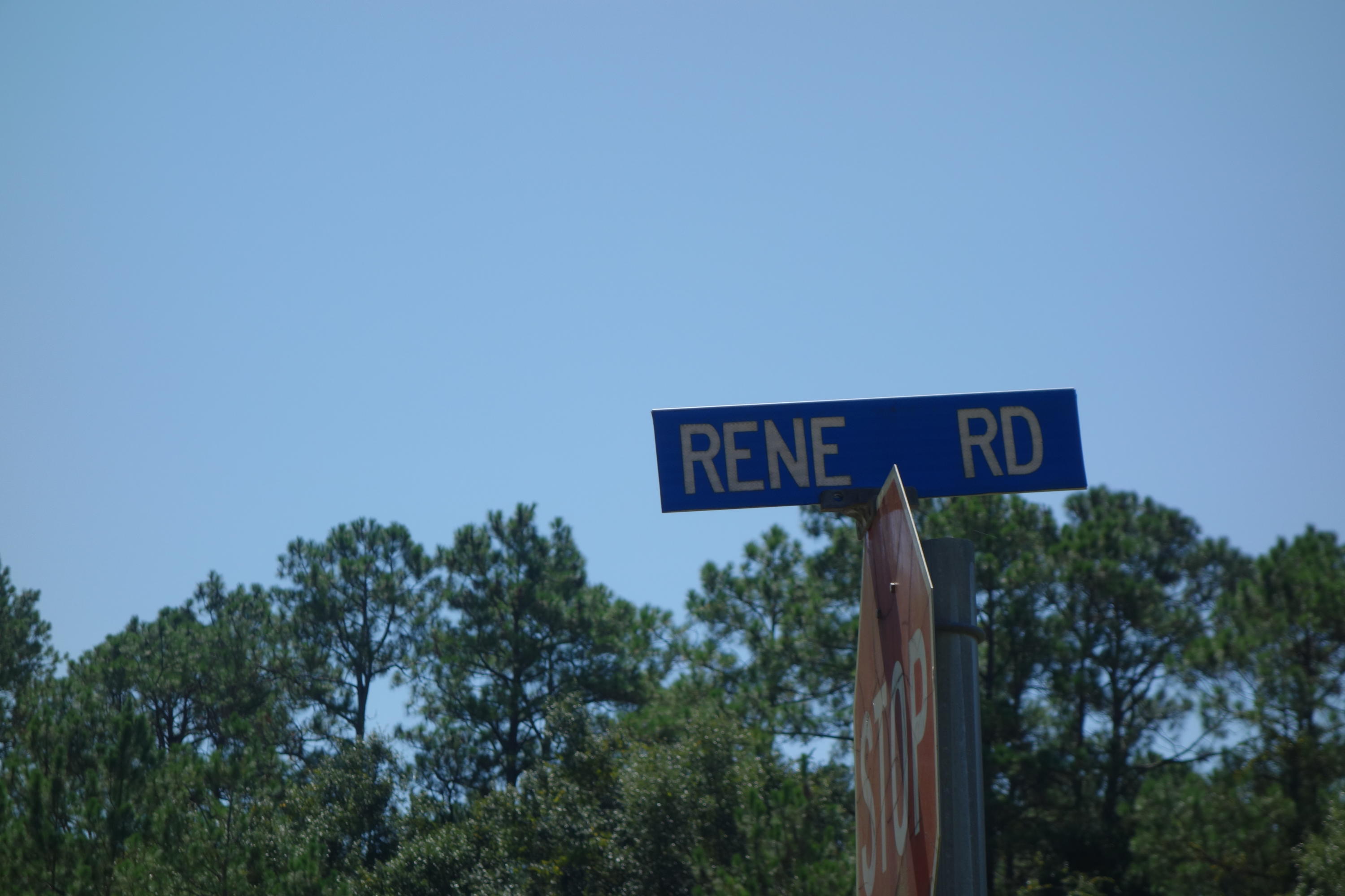 Lot 2 Rene Road DeFuniak Springs, FL 32433 - Photo 6 of 7 Gallery Image 6