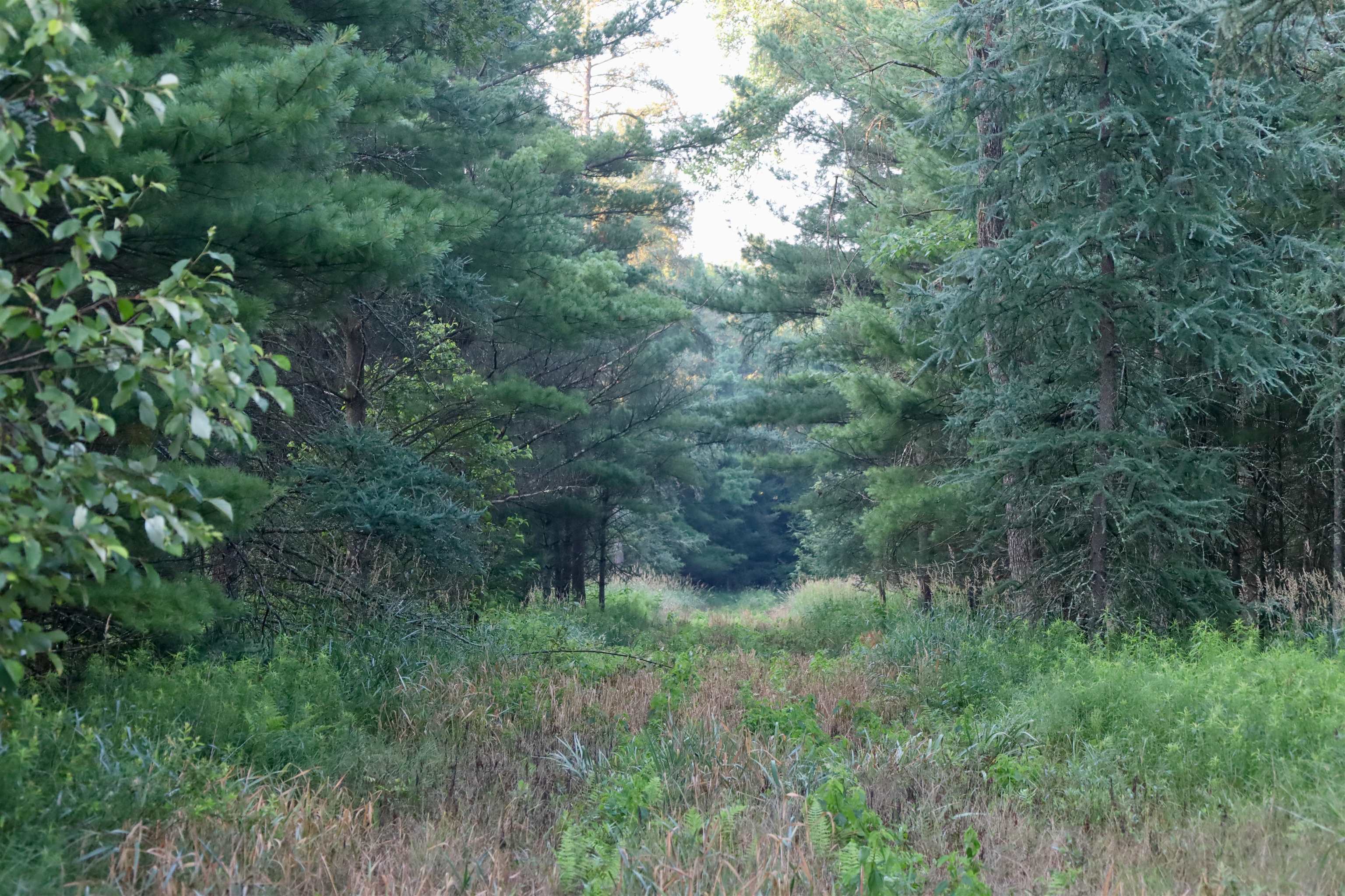 0 17th Montello, WI 53949 - Photo 25 of 30