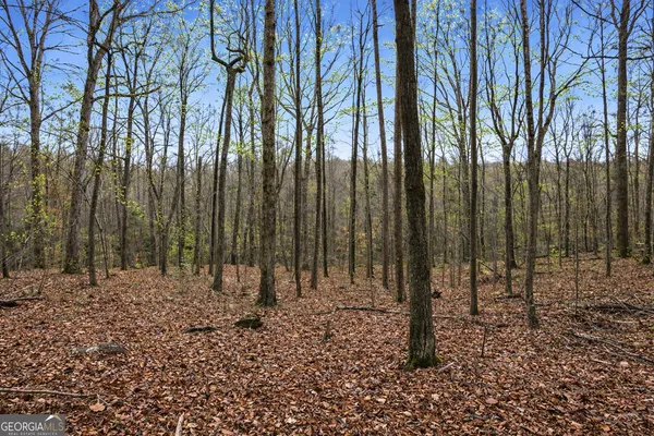 $297,000 | 2315 Stonepile Road, Unit LOT 4, Clarkesville, GA 30523