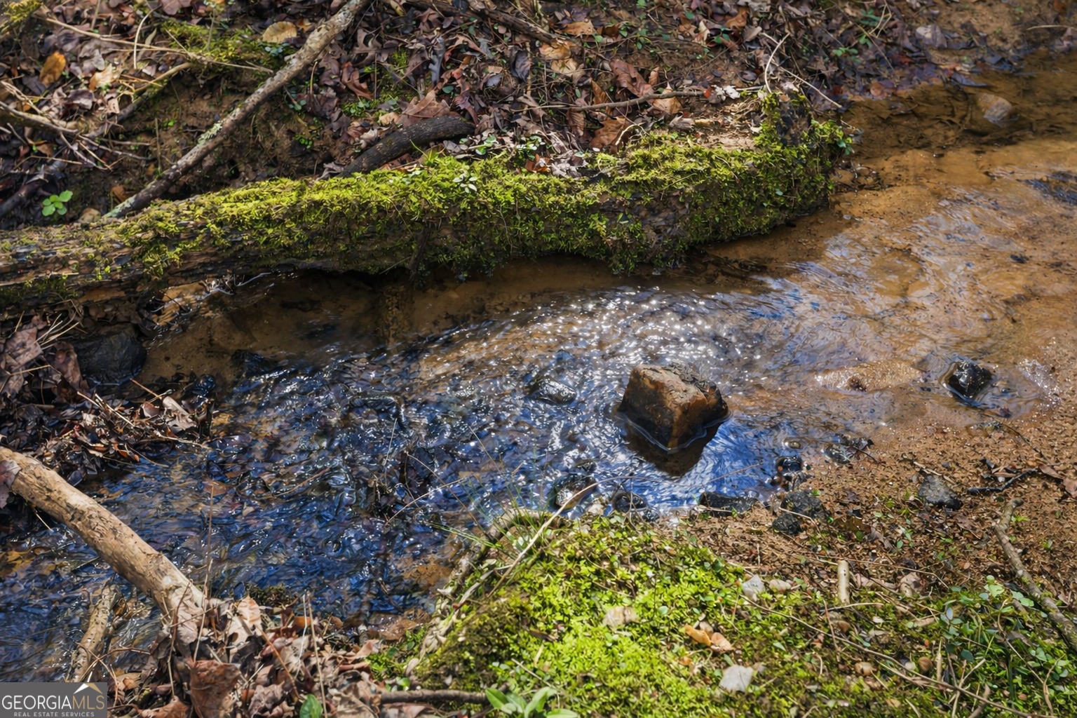 2315 Stonepile Road, Unit LOT 4 Clarkesville, GA 30523 - Photo 6 of 26