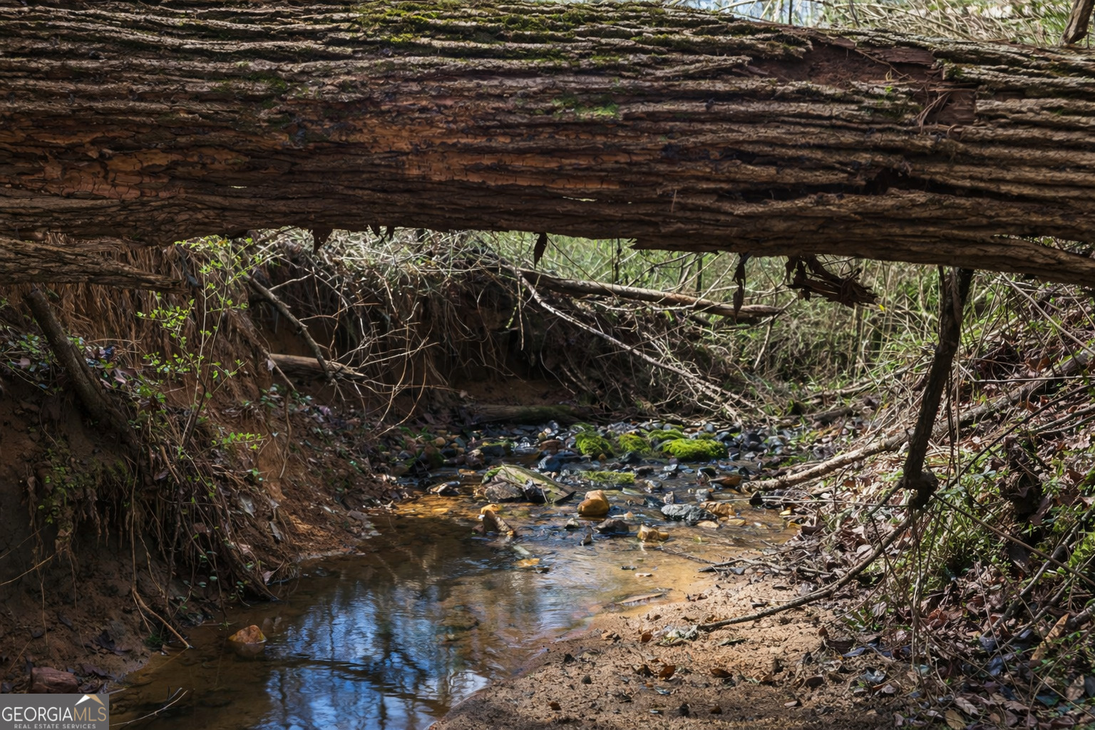 2315 Stonepile Road, Unit LOT 4 Clarkesville, GA 30523 - Photo 8 of 26