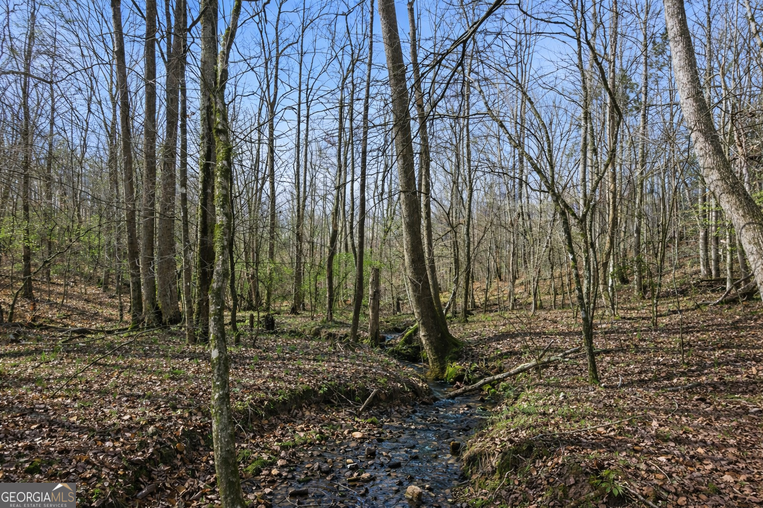 2315 Stonepile Road, Unit LOT 4 Clarkesville, GA 30523 - Photo 9 of 26