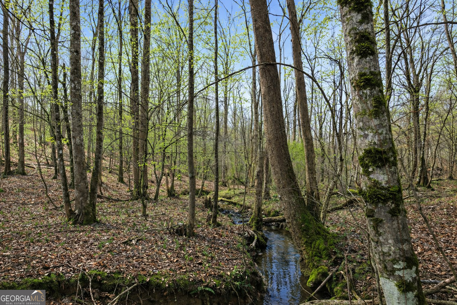 2315 Stonepile Road, Unit LOT 4 Clarkesville, GA 30523 - Photo 10 of 26