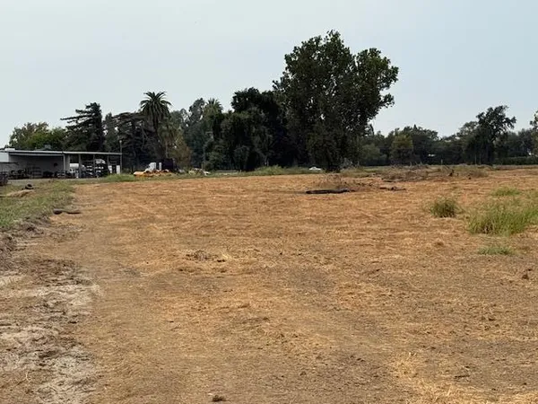 a view of swimming pool with a yard and trees