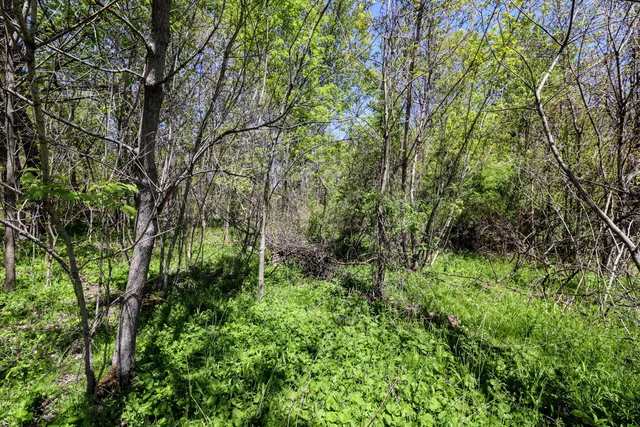 $110,000 | Vl Vl Vl 4th Avenue, Unit PARCEL 7, South Haven, MI 49090