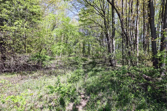 $110,000 | Vl Vl Vl 4th Avenue, Unit PARCEL 7, South Haven, MI 49090