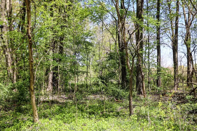 $110,000 | Vl Vl Vl 4th Avenue, Unit PARCEL 7, South Haven, MI 49090