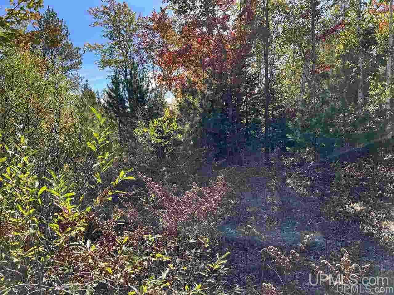 4091 Hiawatha Station Road Manistique, MI 49854 - Photo 16 of 24