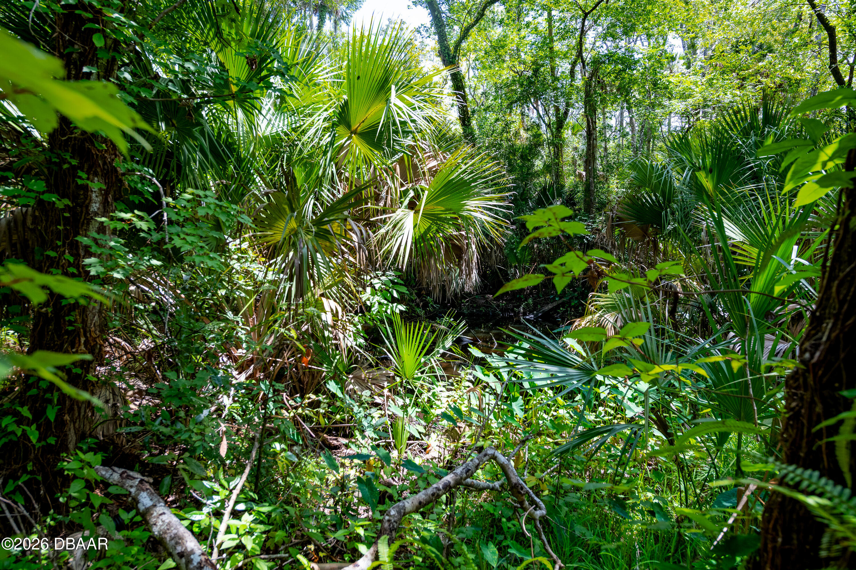 15 River Ridge Trail Ormond Beach, FL 32174 - Photo 51 of 51 15RiverRidgeTrlRiver-1 (1)