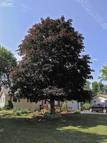 3367 Farrand Road Clio, MI 48420 - Photo 3 of 30 21192813-2.JPG