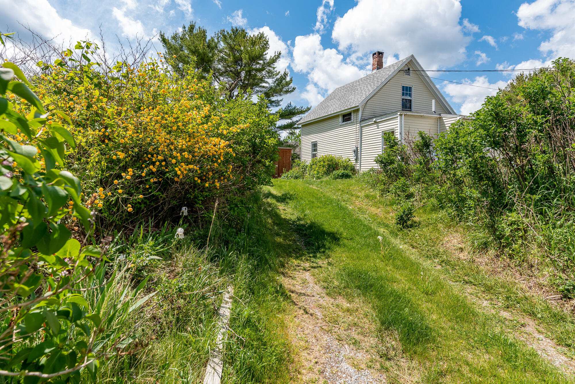 9 2nd Street Spruce Head, ME 04859 - Photo 23 of 23 9 Second Street - CarlyZaniboni-28