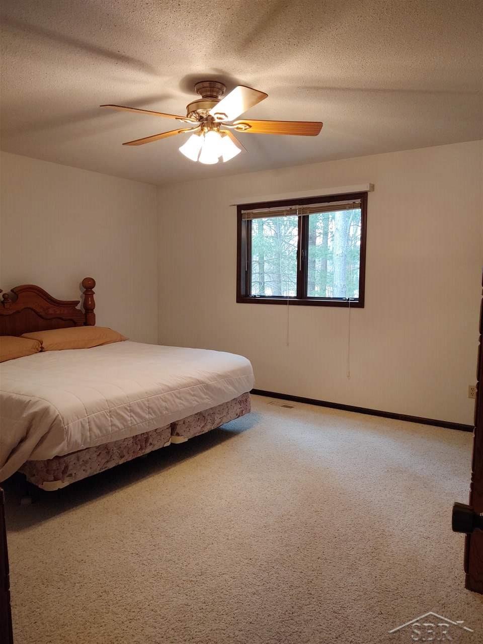 12750 Ithaca Road St. Charles, MI 48655 - Photo 24 of 44 50022930-23.JPG