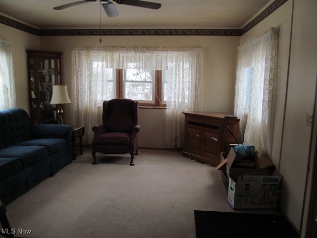9735 Chillicothe Road, Unit 2 Willoughby, OH 44094 - Photo 11 of 49 Carpeted living room featuring a ceiling fan