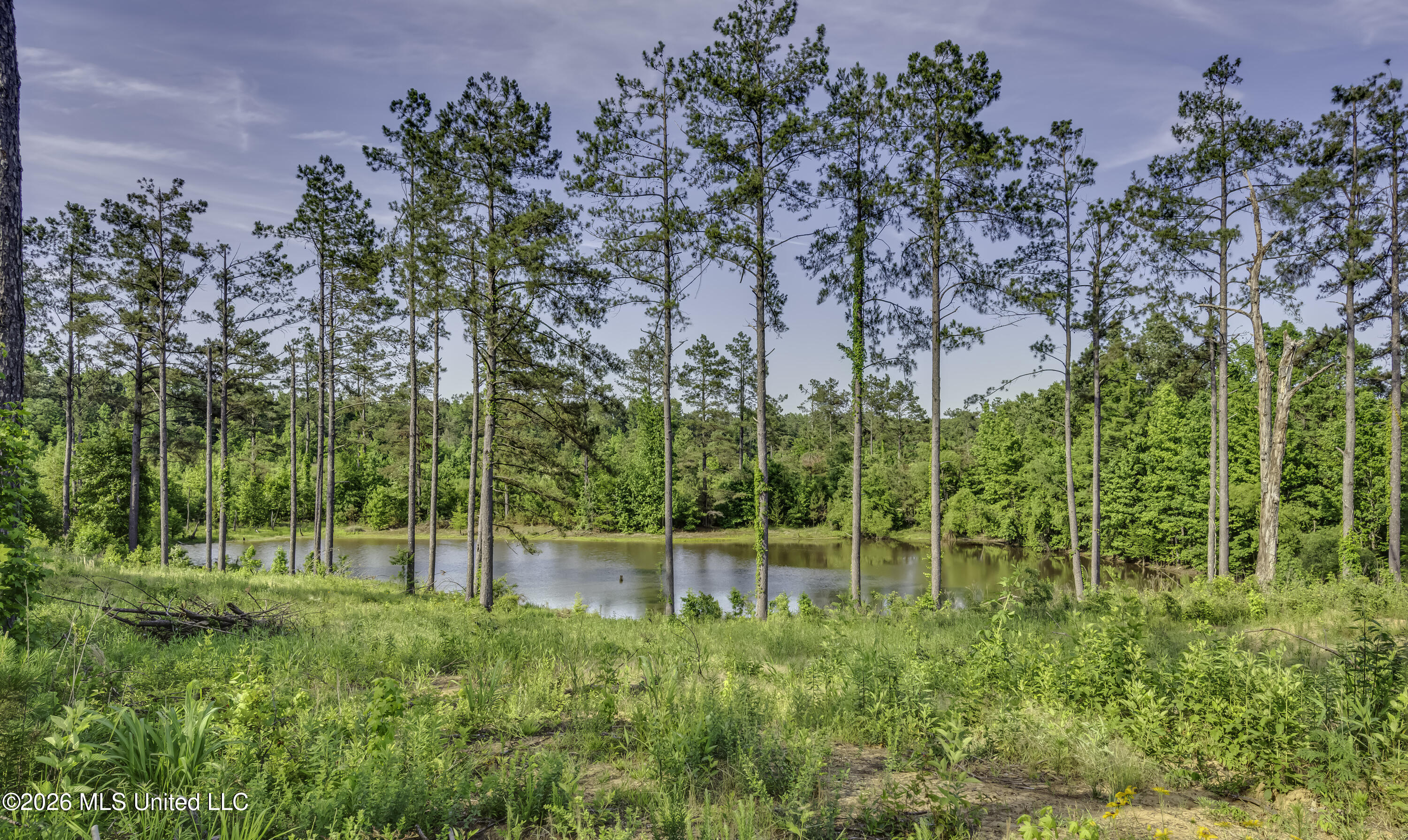 6030 Wash Bailey Road Durant, MS 39063 - Photo 38 of 66 Wash Bailey Rd--62