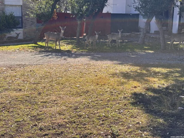 $2,300 | 514 Fossel Pass Street, San Antonio, TX 78260