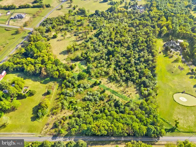 a view of a bunch of trees and bushes