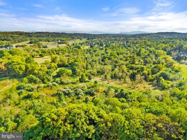 a view of a yard with an tree