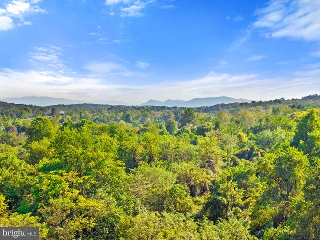 a view of a city with an ocean view