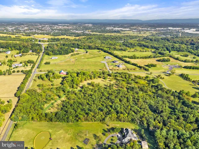 a view of a swimming pool with a garden
