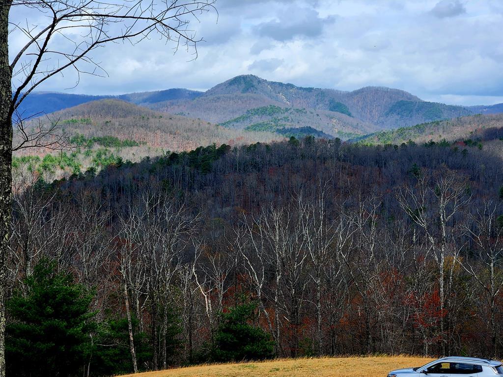 Tbd Dobyns Church Road Stuart, VA 24171 - Photo 2 of 13 Gallery Image 2