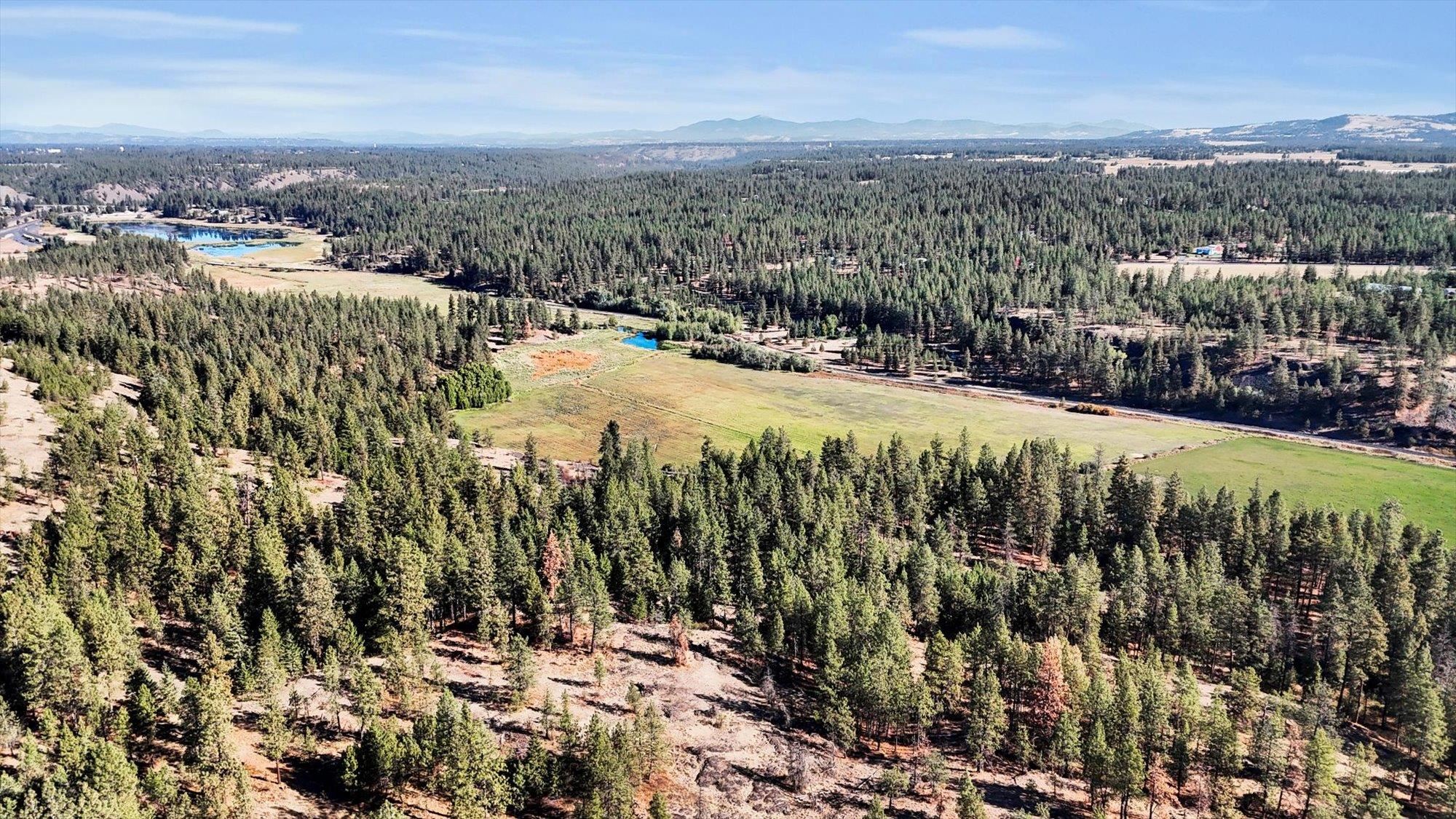 Tbd South Scribner Road, Unit PARCEL #24272 9065 Cheney, WA 99004 - Photo 12 of 26
