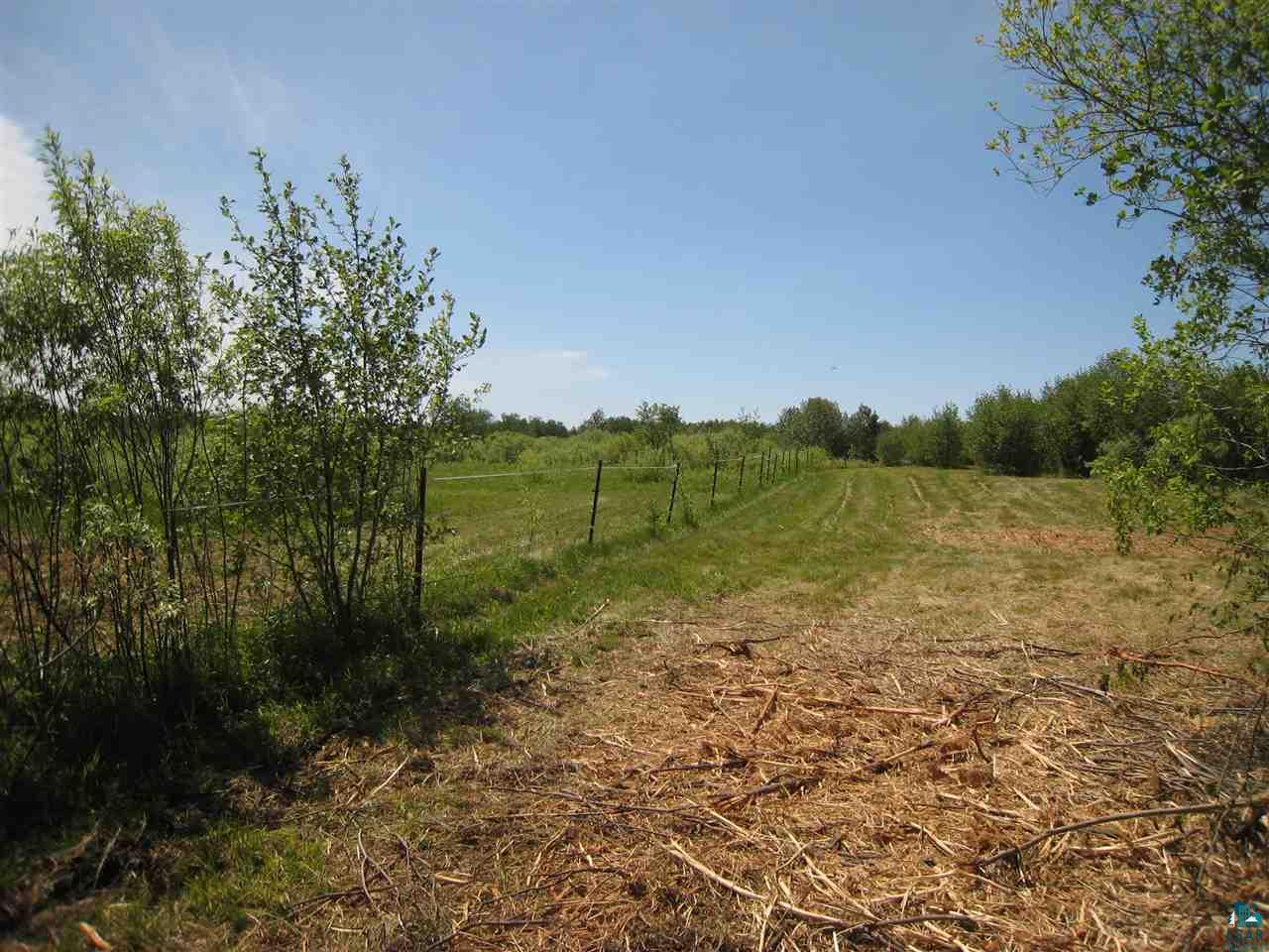 Xxx Erickson Road Esko, MN 55733 - Photo 11 of 13 Gallery Image 11