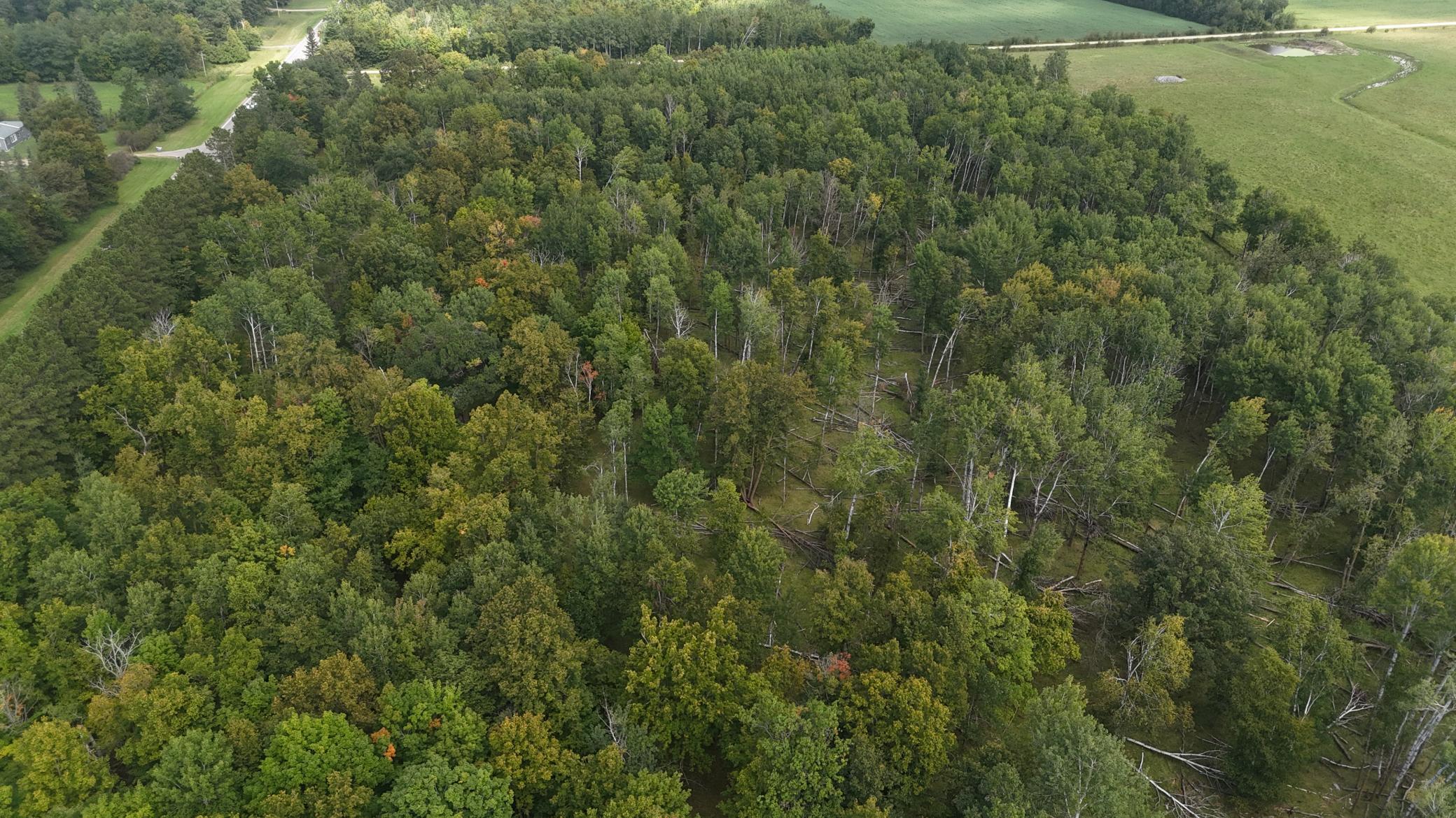 19753 290th Street Bagley, MN 56621 - Photo 14 of 29