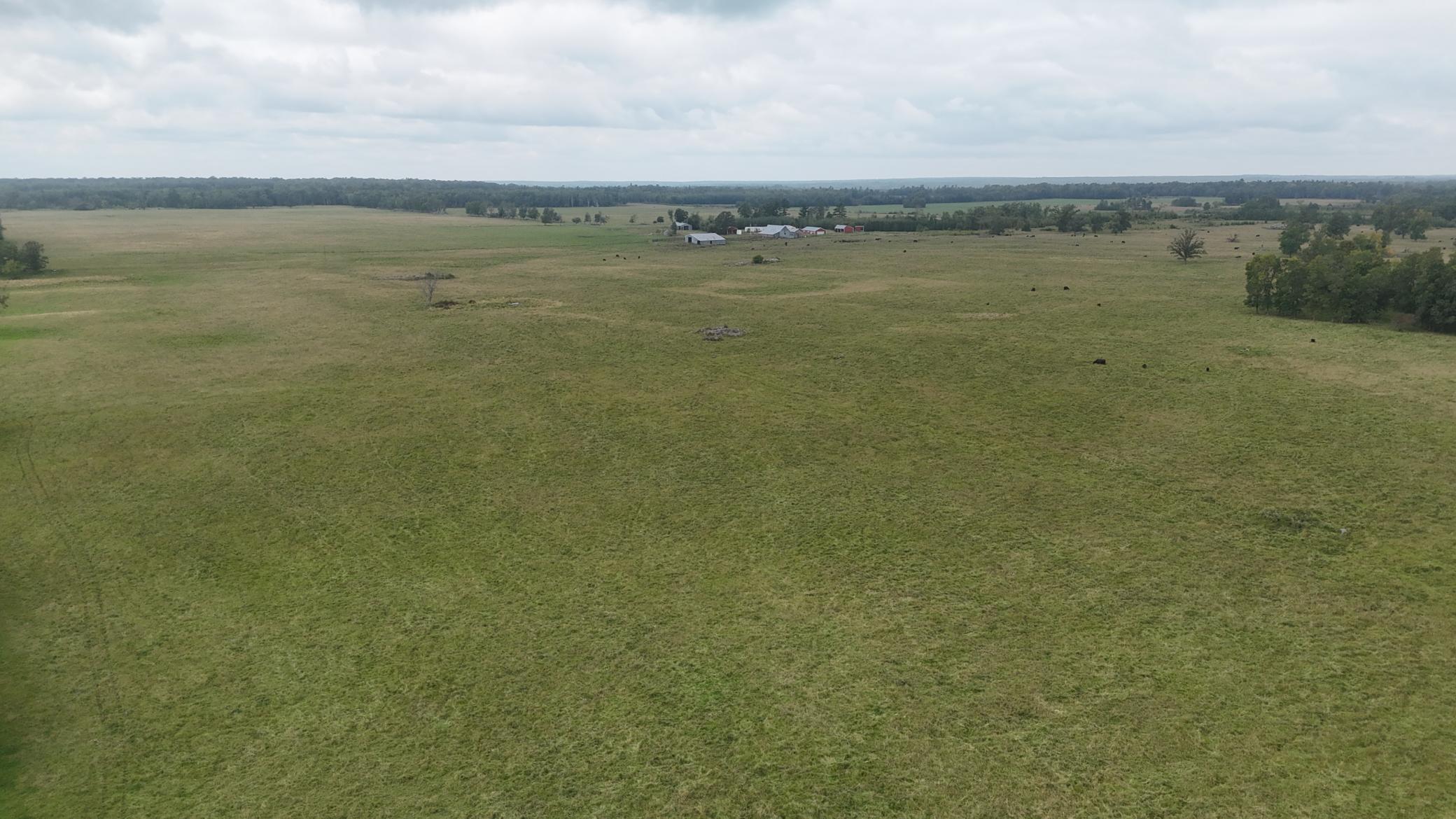 19753 290th Street Bagley, MN 56621 - Photo 24 of 29