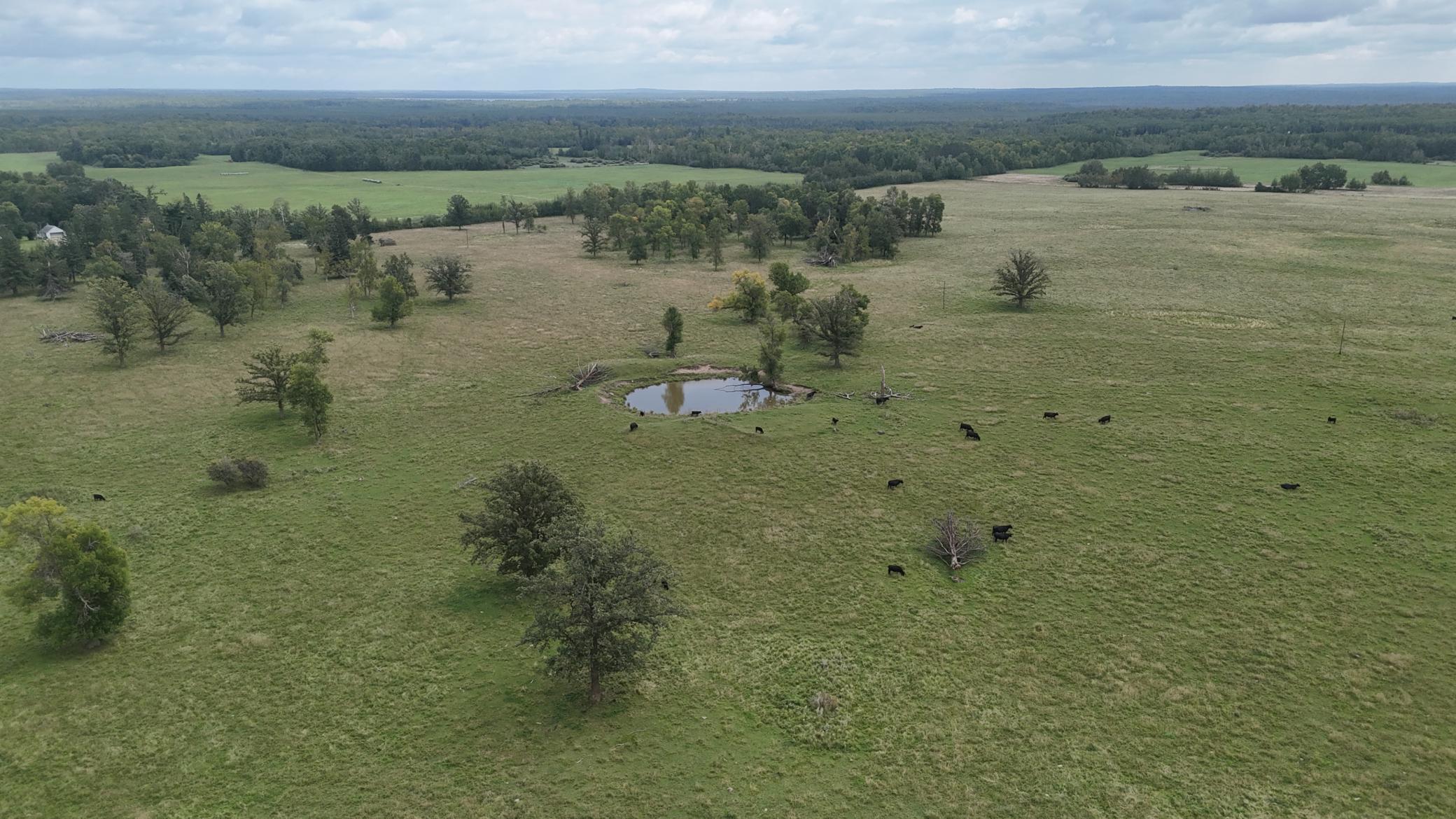 19753 290th Street Bagley, MN 56621 - Photo 25 of 29